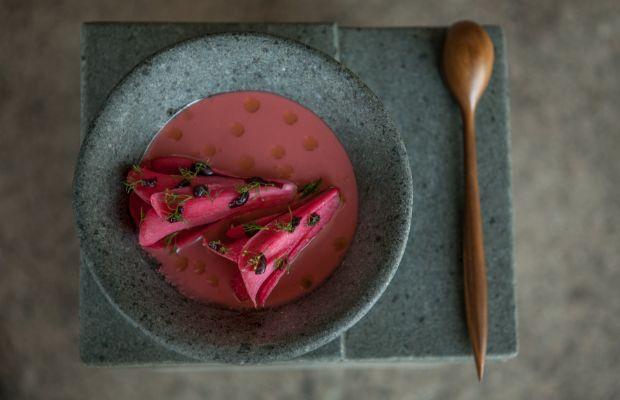Borago-Dish-1