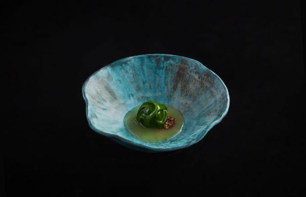 Leo-Dish-2