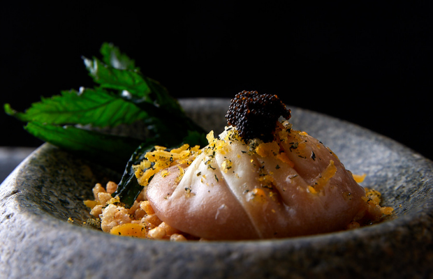 Maido-Dish-2